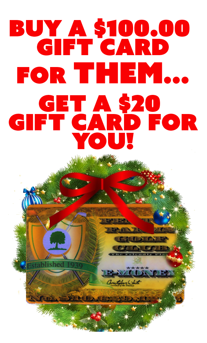 100-GC--christmas-promo